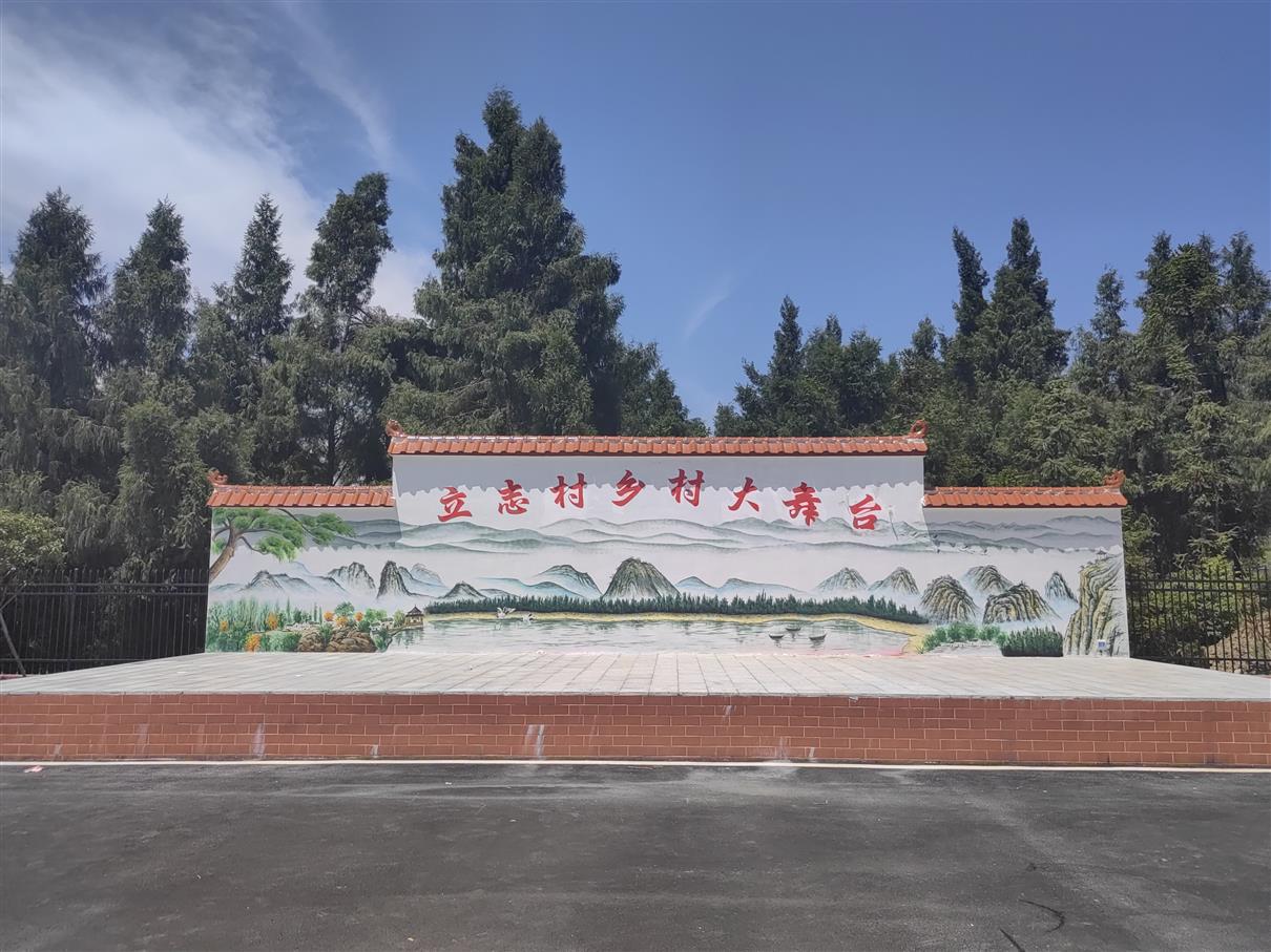 新建乡村大舞台新建路灯村部广场建设村部保坎建设13,14组"三清三化